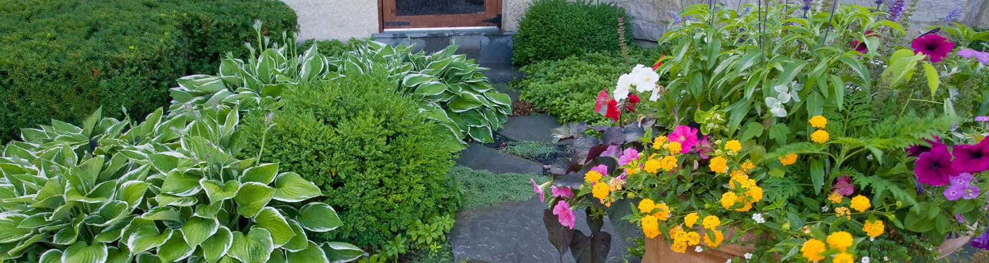 Landscape Architect (Certified / Licensed), Chicago North Shore