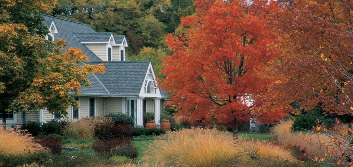 Van Zelst Wadsworth office