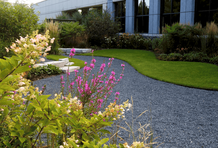 lake forest landscaping project by van zelst featuring gravel pathway.