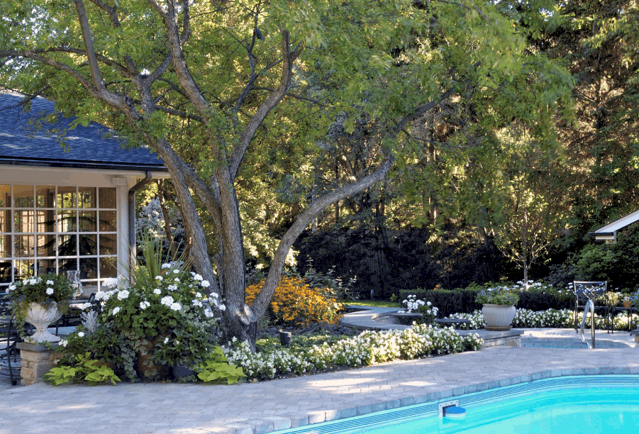A Serene, Shady Setting in Winnetka