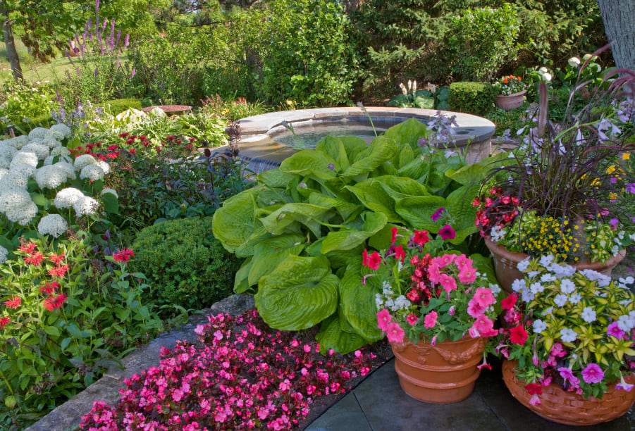spa tucked into lush landscaping