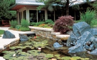 vanzelst-glencoe-illinois-pond