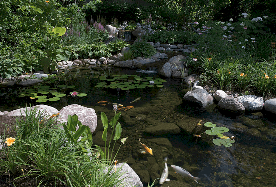 pond