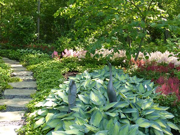 garden bird art with hosta in foreground garden bird art with hosta in foreground