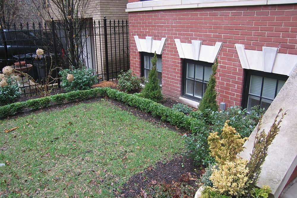chicago-front-garden-before Even the simplest plantings were difficult to keep attractive and healthy in this small, shady urban space.