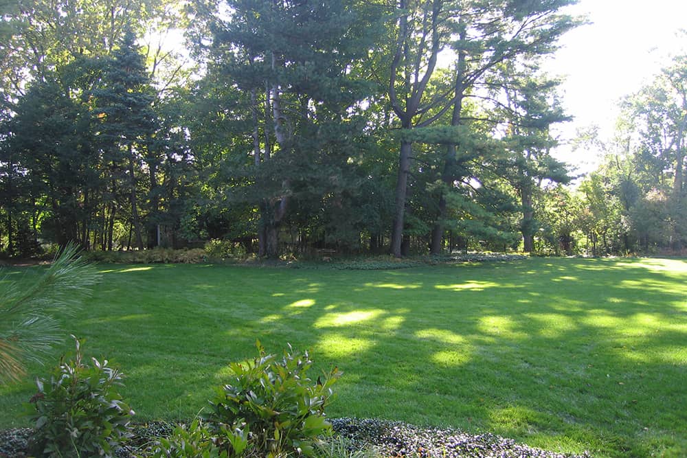 glenview-lawn-before An expanse of grass and mature trees had been largely untouched by the previous owners.