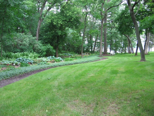 Before renovation, the beds near the creek were overrun by ground cover and accompanied by only hostas and naturalized ferns. These plants remained in the redesign, but were augmented by more variety.