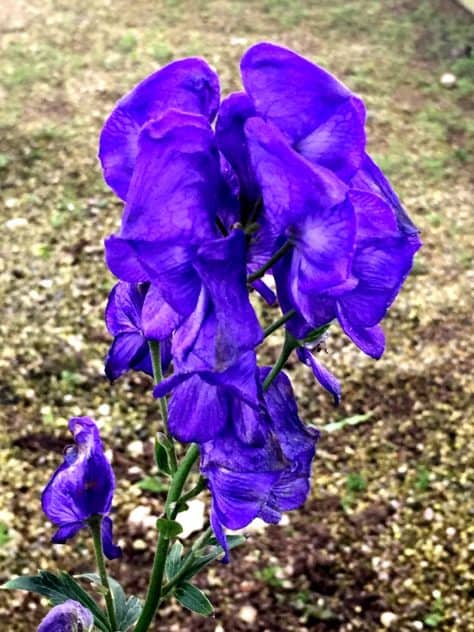 2016-10-18-08-42-25