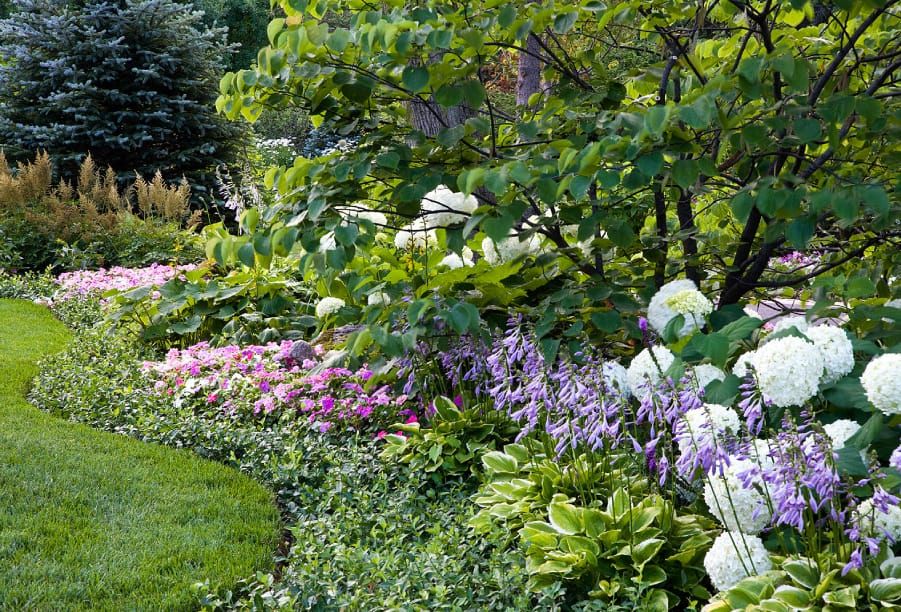 Spring to do list…