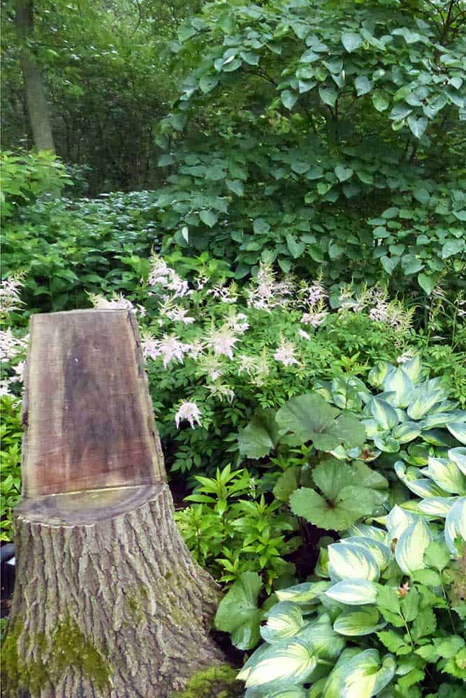 chair-made-from-tree-trunk chair-made-from-tree-trunk