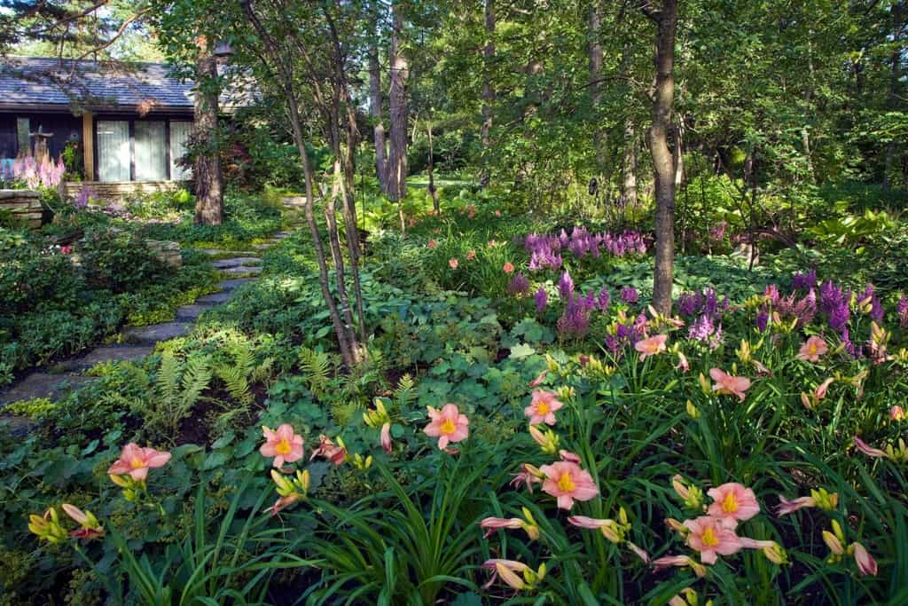 wooded-colorful-landscape-northbrook-il wooded-colorful-landscape-northbrook-il
