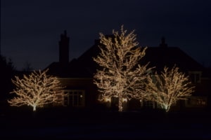 holiday lighting