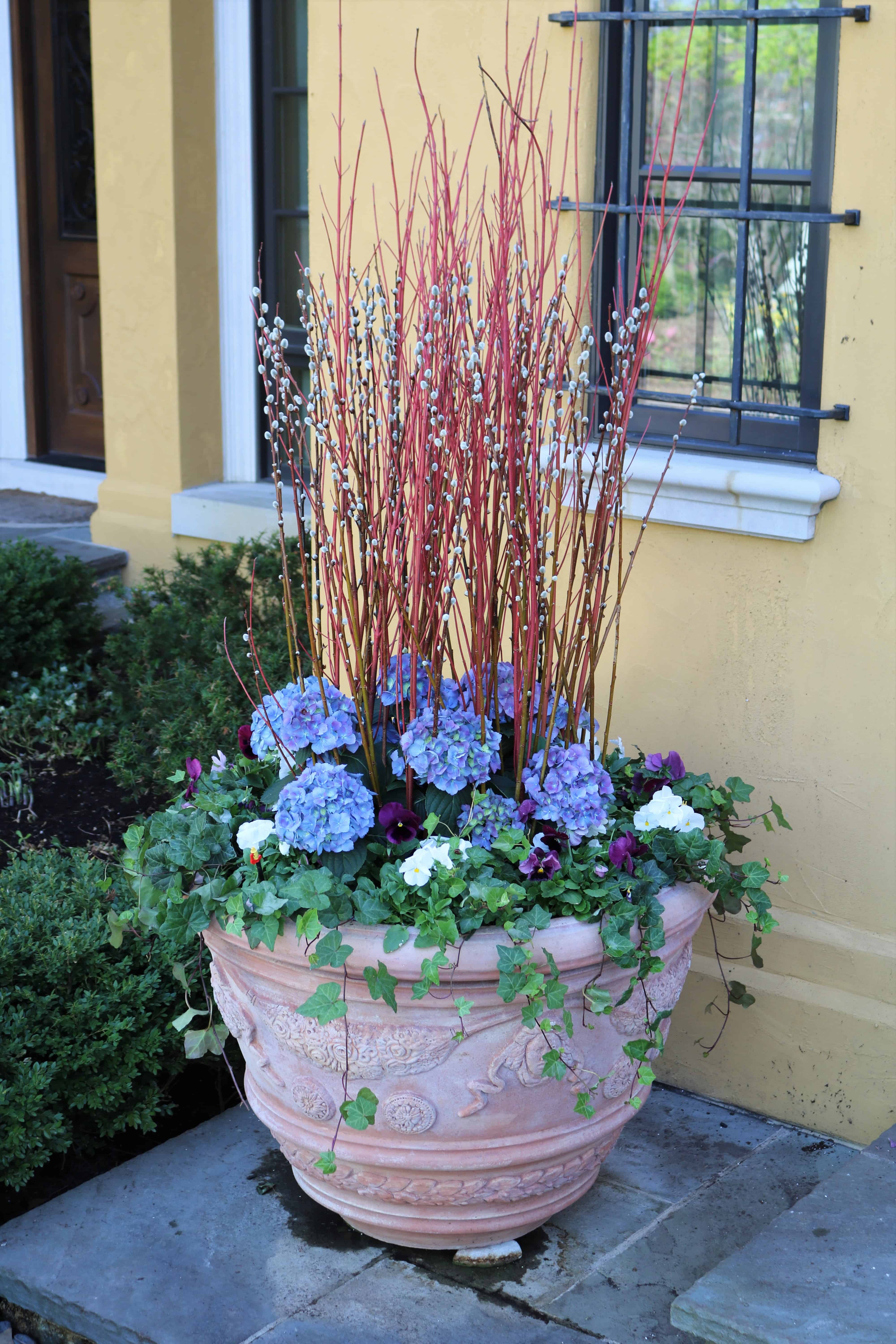 Early Spring Planting Ideas. - Van Zelst