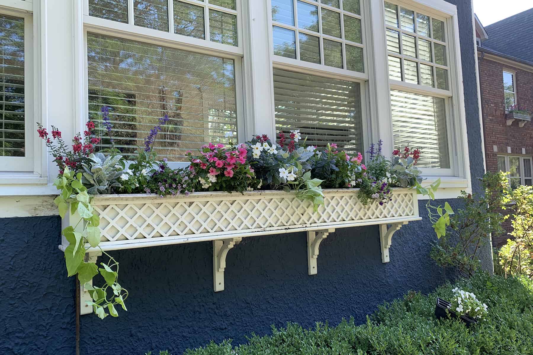 Lattice Flower Box Planted with Colorful Annuals Van Zelst