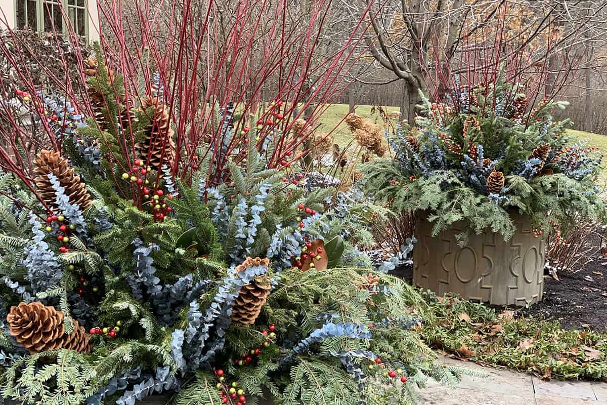 Seasonal Containers for a Winter Landscape Van Zelst