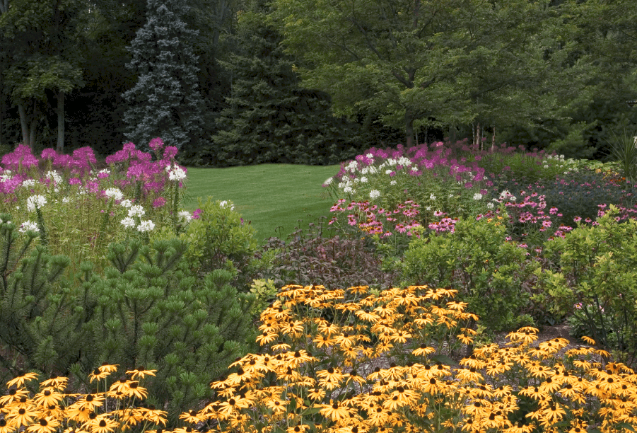 Perennial Beds in Bloom