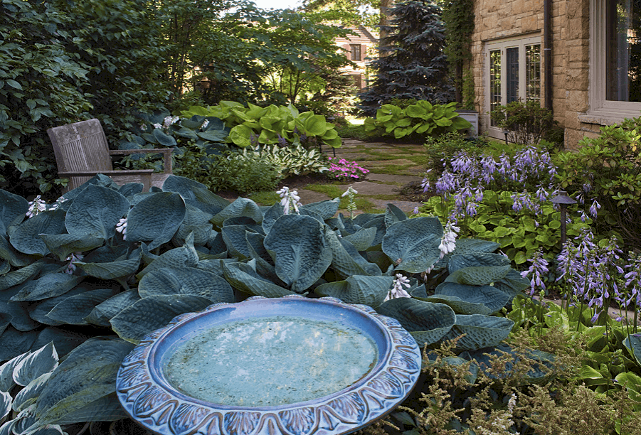 A Mature Shade Garden in Wilmette