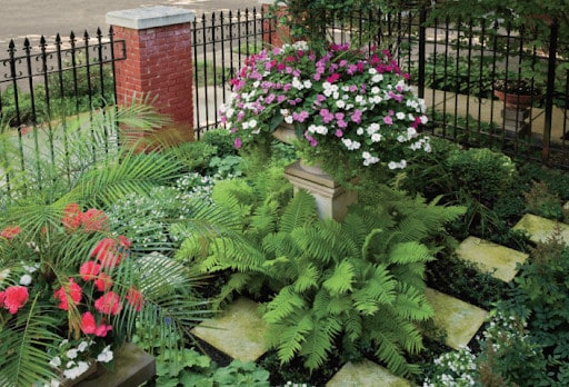 courtyard garden in the city