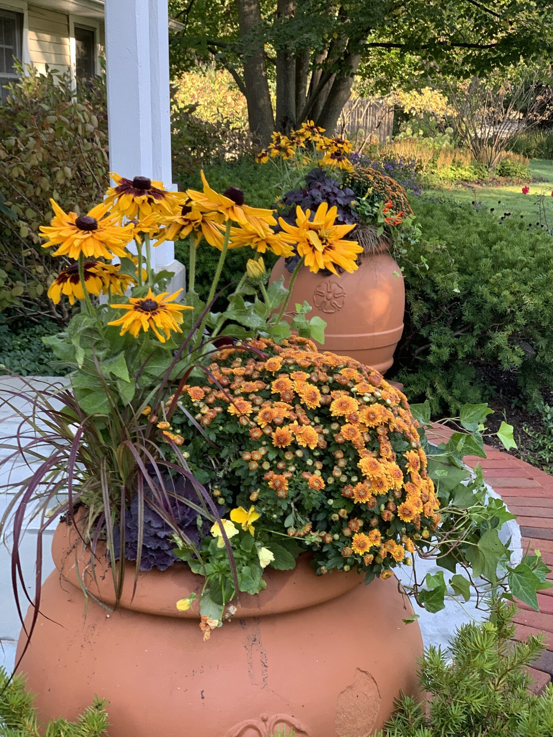Colorful flowers in decorative pots.