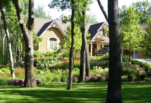 large trees in foreground of lush landscape
