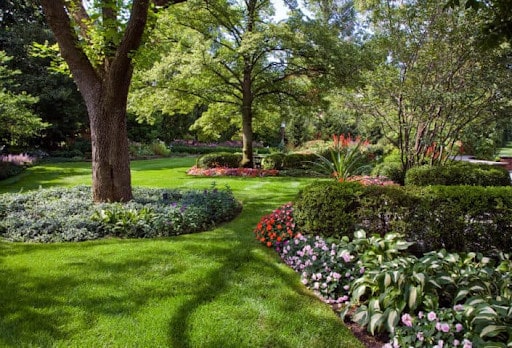 planting beds around trees