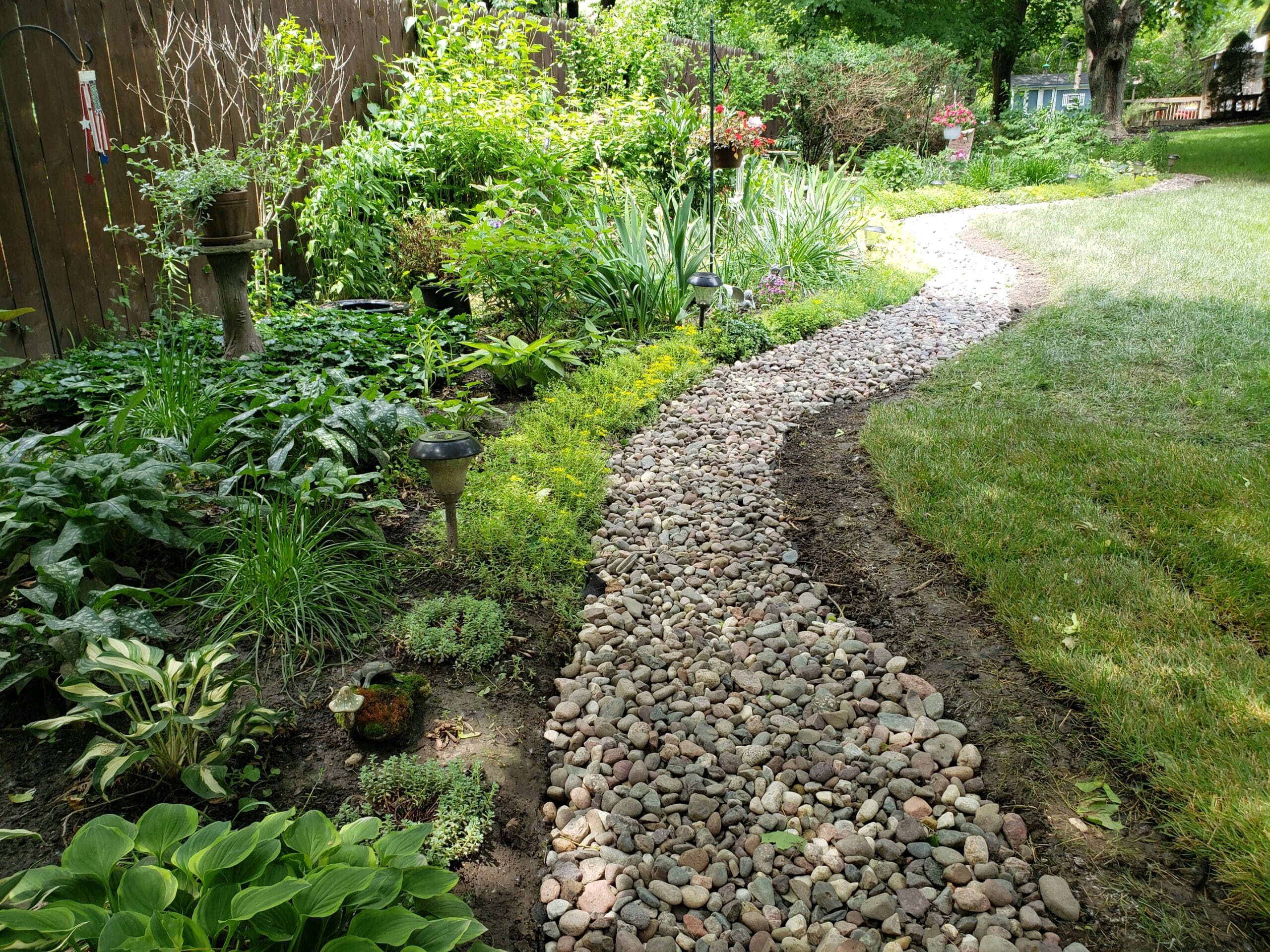 backyard drainage